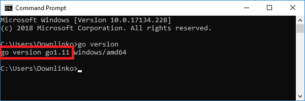 golang version output