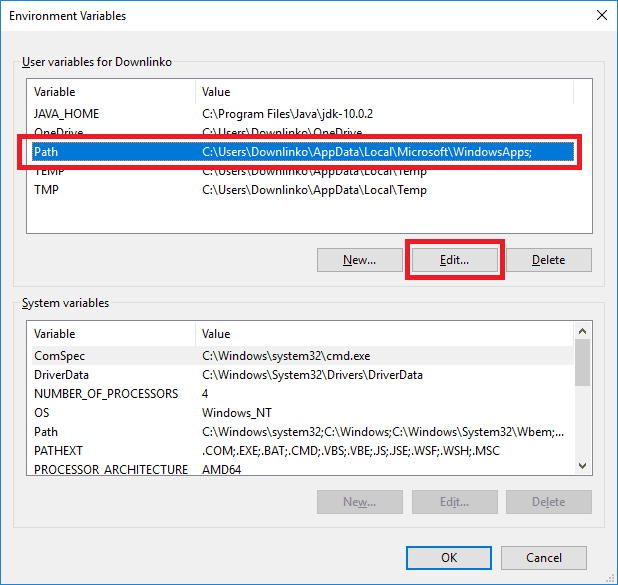 jdk 10 edit path variable